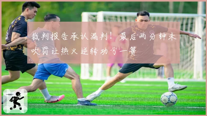 裁判报告承认漏判!最后两分钟未吹罚让热火逆转功亏一篑