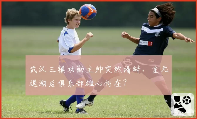武汉三镇功勋主帅突然请辞,金元退潮后俱乐部雄心何在?