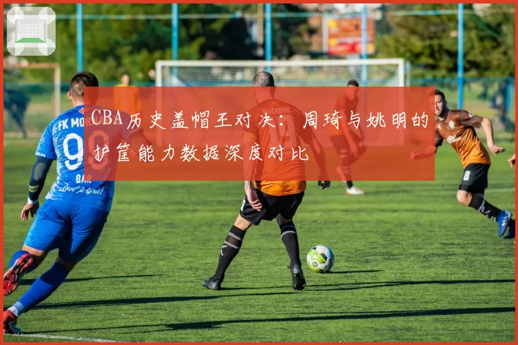 CBA历史盖帽王对决：周琦与姚明的护筐能力数据深度对比